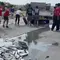 Ikan Berceceran di Tol Pemalang, Aksi Pemain Bola Ini Tidak Terduga