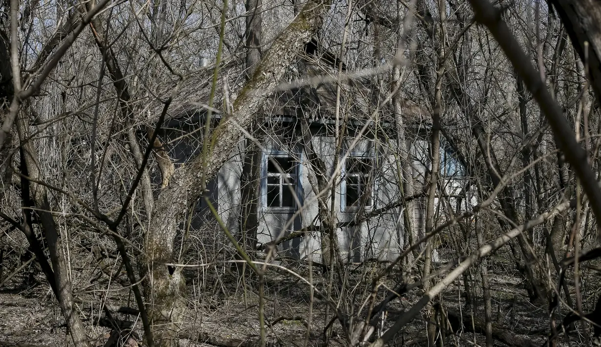Sebuah rumah terlihat di desa Zalesye yang sudah tidak lagi ditempati oleh pemilikinya di kota Pripyat, dekat pembangkit tenaga nuklir, Ukraina, 28 Maret 2016. (REUTERS/Gleb Garanich)