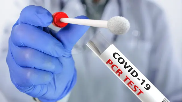 ilustrasi tes pcr/Giovanni Cancemi/shutterstock