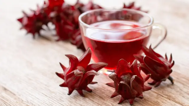 bunga rosella rosela