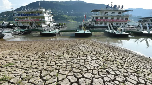 Kekeringan Panjang Kurangi Hasil Panen dan Persediaan Air Minum di China