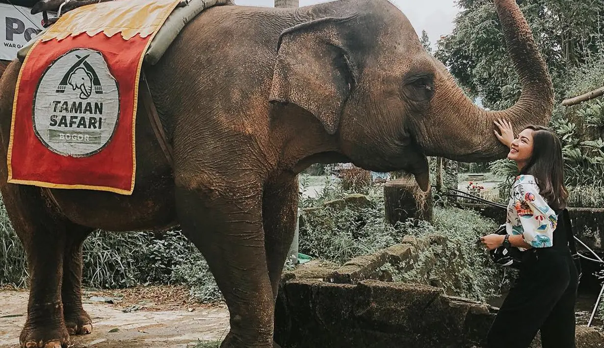 Pemilik nama lengkap Jessica Mila Agnesia memang terkenal sebagai sosok penyayang binatang. Ia beberapa kali sampaikan dukungan untuk melindungi hewan langka. Kecintaannya terhadap hewan terlihat saat antusias bertemu dengan gajah di Royal Safari Garden. (Liputan6.com/IG/@jscmila)