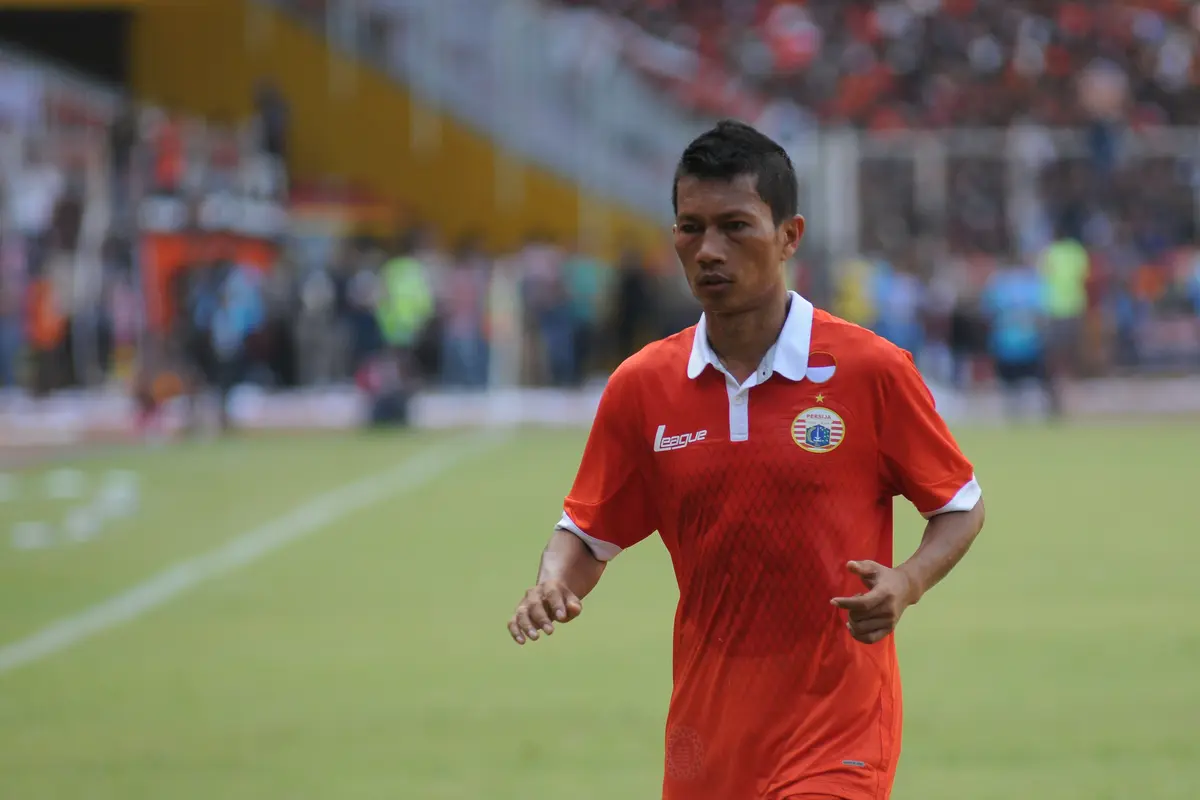Ismed Sofyan