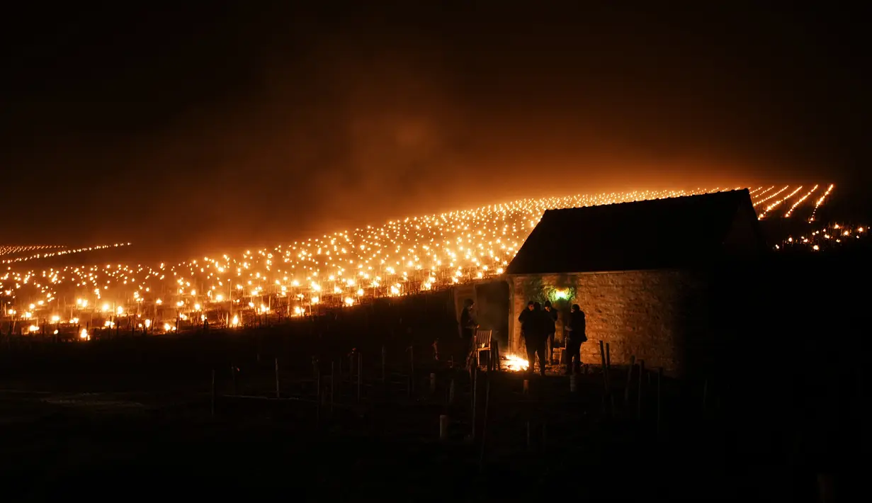Petani anggur menghangatkan diri di sekitar api saat lilin anti-beku menyala di kebun anggur untuk melindungi kuncup dan bunga yang mekar dari embun beku, di Chablis, wilayah Burgundy (4/4/2022). (AP Photo/Thibault Camus)