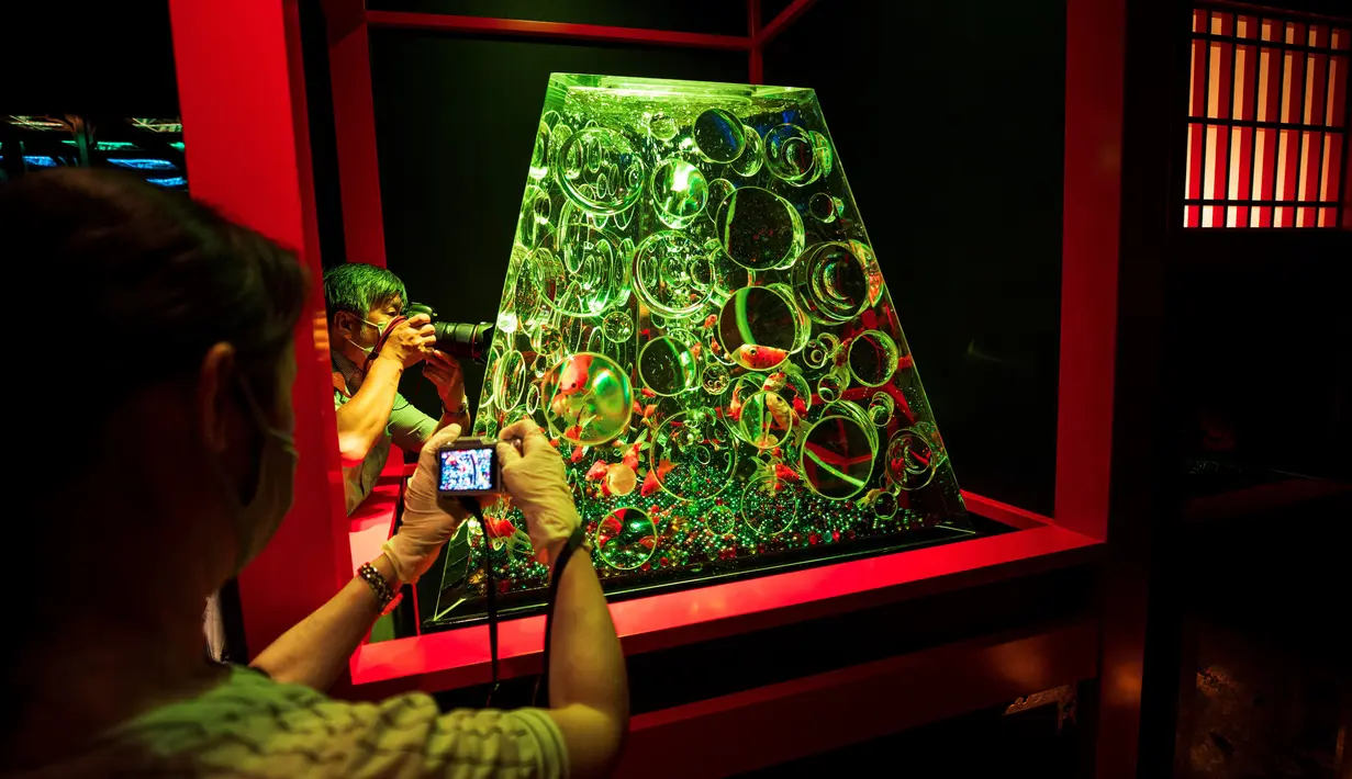 Fotografer memotret ikan mas dalam akuarium pajangan berjudul "Reflecterium" selama pratinjau pers pameran Art Aquarium 2020 di Tokyo, Jepang, Kamis (27/8/2020). Art Aquarium kini menampilkan 30 ribu ikan mas yang ditempatkan di tangki-tangki besar. (Behrouz MEHRI / AFP)