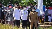 Presiden RI Joko Widodo (Jokowi) meninjau panen padi di Desa Wanasari, Kabupaten Indramayu, Provinsi Jawa Barat.