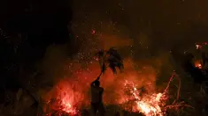 Seorang pria mencoba memadamkan api dengan dahan pohon di Trancoso, Portugal, pada 12 Agustus 2025. (PATRICIA DE MELO MOREIRA/AFP)