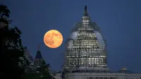 Blue Moon yang terjadi pada 31 Juli 2015 di Washington, Amerika Serikat (NASA/Bill Ingalls)