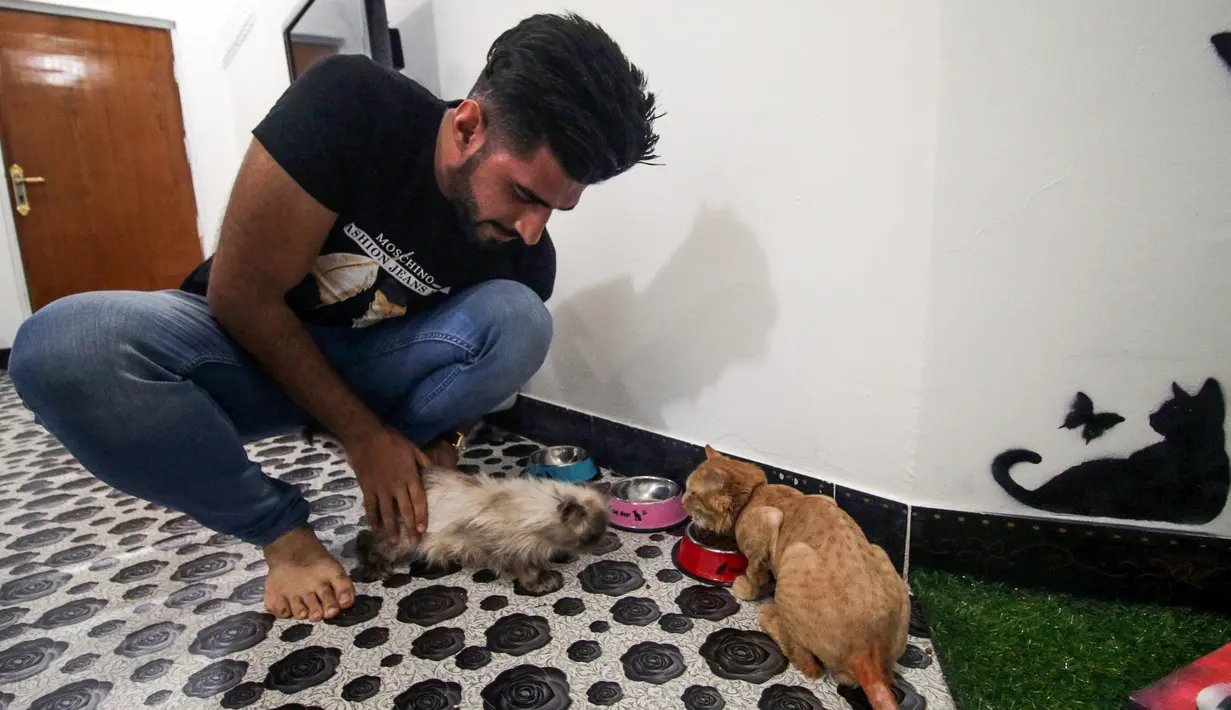 Mahasiswa kedokteran hewan, Ahmad Taher memberi makan kucing yang menginap di hotel khusus kucing di Basra, Irak, 28 Maret 2018. Hotel itu memberikan tempat bernaung yang layak bagi kucing ketika para pemilikinya bepergian jauh. (HAIDAR MOHAMMED ALI/AFP)