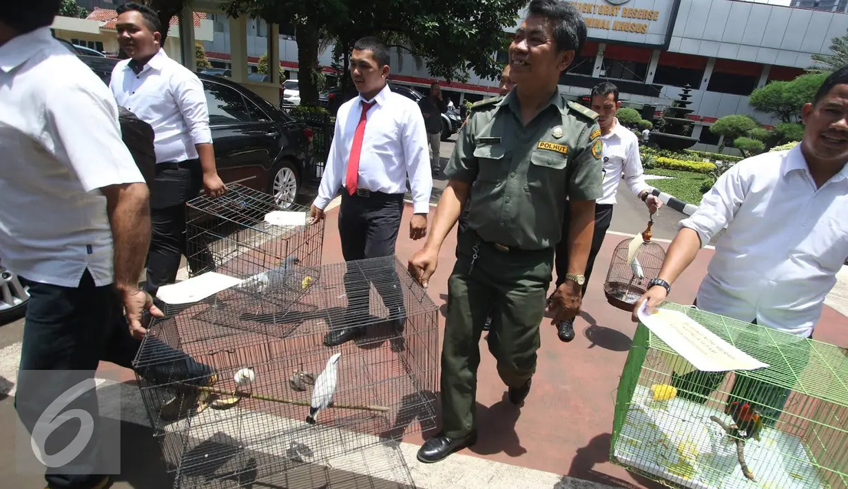 Petugas membawa barang bukti pengungkapan perdagangan satwa ilegal di Polda Metro Jaya, Jakarta, (5/10). Seekor burung nuri merah kepala hitam, dua ekor burung jalak bali berhasil diamankan dari tangan tiga tersangka. (Liputan6.com/Immanuel Antonius)