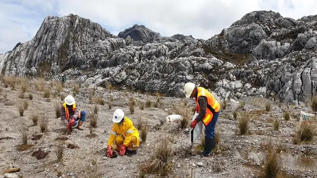 Selain Uang, Pemerintah Untung Gede dari Gunung Emas di Indonesia
