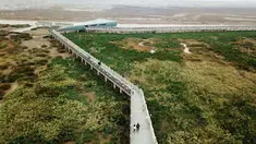 Foto dari udara pada 8 November 2020 menunjukkan pemandangan lahan basah muara Sungai Minjiang di Fuzhou, Provinsi Fujian, China. Lahan basah muara tersebut merupakan area konsentrasi utama untuk burung-burung yang bermigrasi dan habitat bagi unggas air, termasuk spesies langka. (Xinhua/Wei Peiquan)