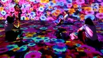 Pengunjung berada di area pameran seni digital Imagispace di sebuah mall kawasan Senayan, Jakarta, Selasa (15/5/2023). (Liputan6.com/Herman Zakharia)