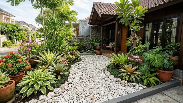 Batu Koral Putih