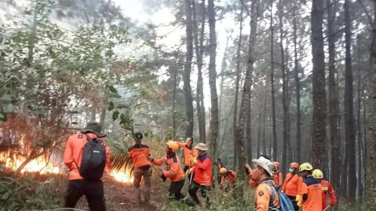 Tersisa Satu Titik Api di Gunung Lawu, Pemerintah Jateng Minta Helei Water  Bombong Diterjunkan Lagi