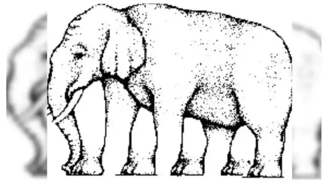 Ada Berapa Kaki Gajah Pada Gambar Ini? Ilusinya Bikin Gagal Fokus