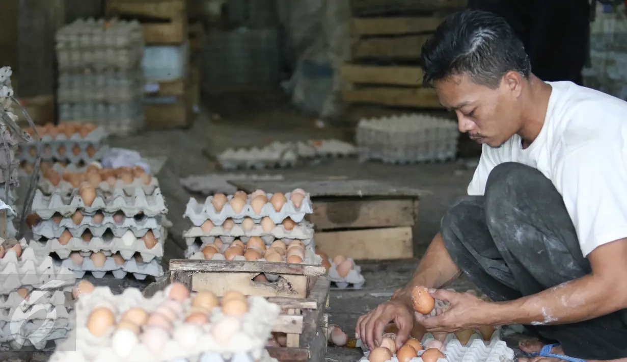 Pekerja memilih telur untuk dijual di sebuah agen penjualan, Jakarta, Senin (27/3). Pemerintah dinilai lamban mengatasi kondisi kelebihan pasokan ayam hidup dan telur, menyebabkan harga jatuh di tingkat peternak. (Liputan6.com/Angga Yuniar)
