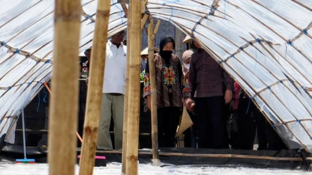 Mensos Tri Rismaharini meninjau produksi garam petani tradisional di wilayah Klungkung, Bali