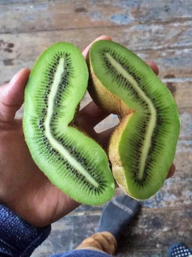 8 Potret Buah dan Sayur Ini Ukurannya Tak Biasa, Enggak Habis Pikir