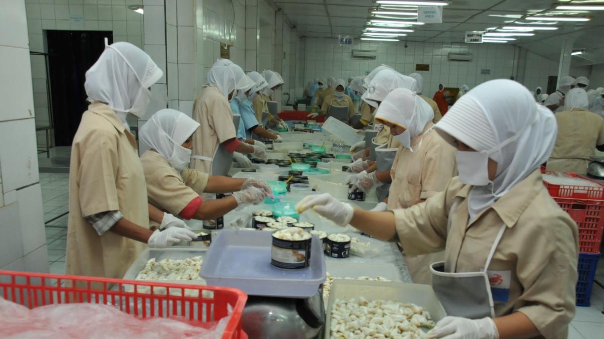 Ekspor Perikanan Indonesia Capai USD 6,27 Miliar di 2025, KKP: Komoditas Makin Bernilai Global