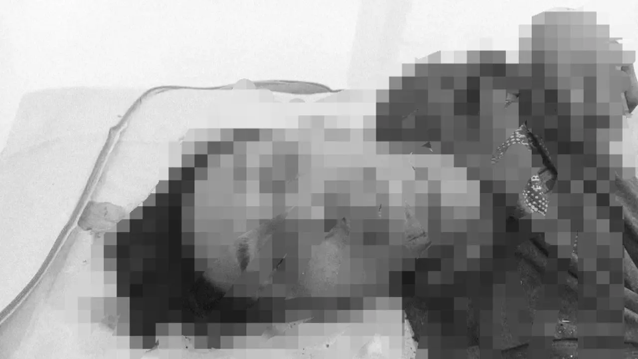 Mayat Misterius Ditemukan di Pinggir Jalan Mesuji, Polisi Selidiki Identitas dan Penyebab Kematian