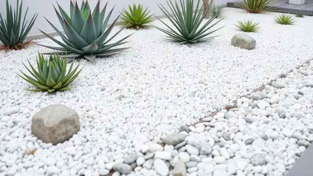 Taman Kering dengan Batu dan Tanaman Sukulen
