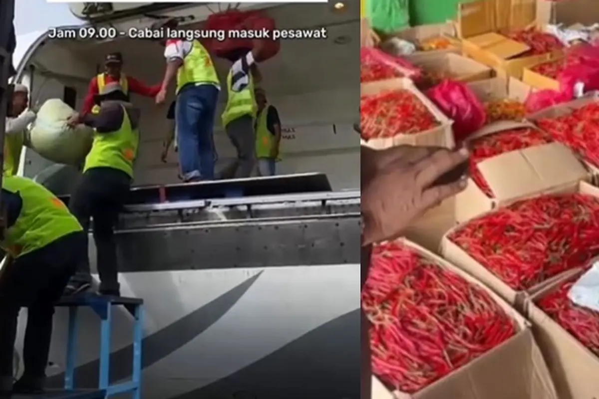6 Potret Aksi Ferry Irwandi Kirim Cabai Aceh ke Jakarta, Jadi Jembatan Ekonomi