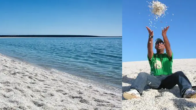 copyright odditycentral.com