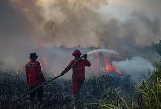 Kebakaran hutan dan lahan (karhutla) kembali meluas di Sumatera Selatan (Sumsel). (AL ZULKIFLI/AFP)