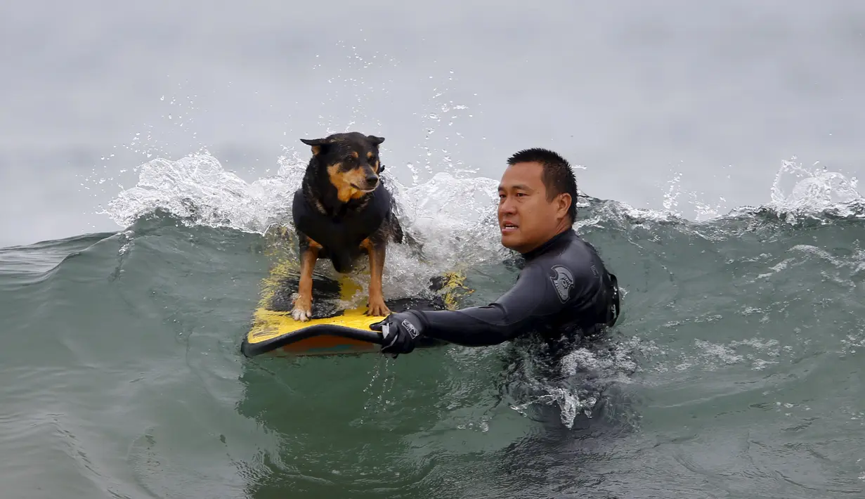 Michael Uy memegangi anjingnya saat akan mengikuti kompetisi kontes surfing anjing Petco Unleashed ke-10 di pantai Imperial, California, 1 Agustus 2015. (REUTERS/Mike Blake)