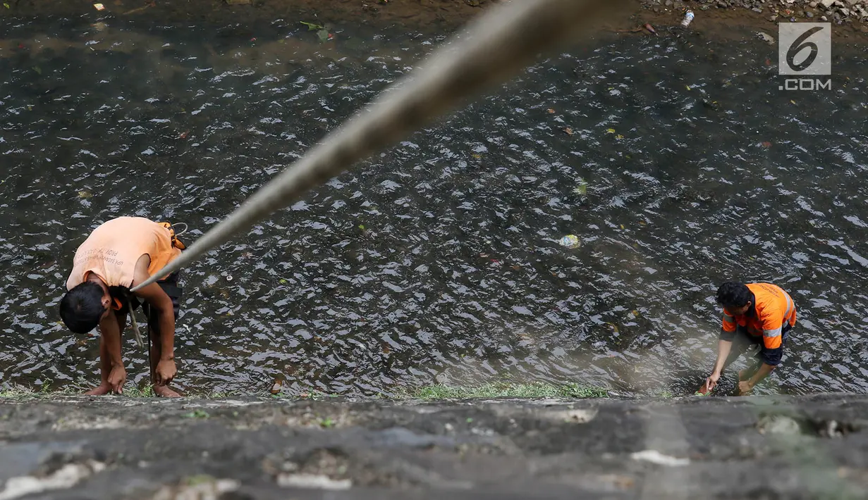 Petugas UPK Badan Air Dinas Kebersihan DKI Jakarta membersihkan rumput liar di sepanjang turap Kali Baru, Jakarta, Selasa (18/7). Kegiatan rutin tersebut merupakan upaya menjaga kebersihan sungai di Ibu Kota. (Liputan6.com/Immanuel Antonius)