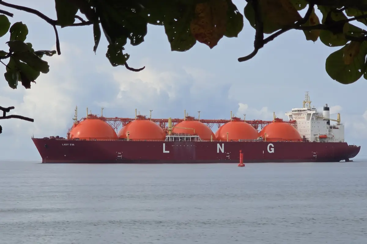 PT Donggi-Senoro LNG (DSLNG)