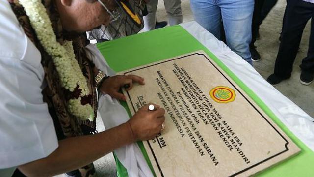 Kementan Tegaskan Sudah Realokasi Pupuk Subsidi untuk Sumut