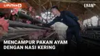 HARGA TELUR