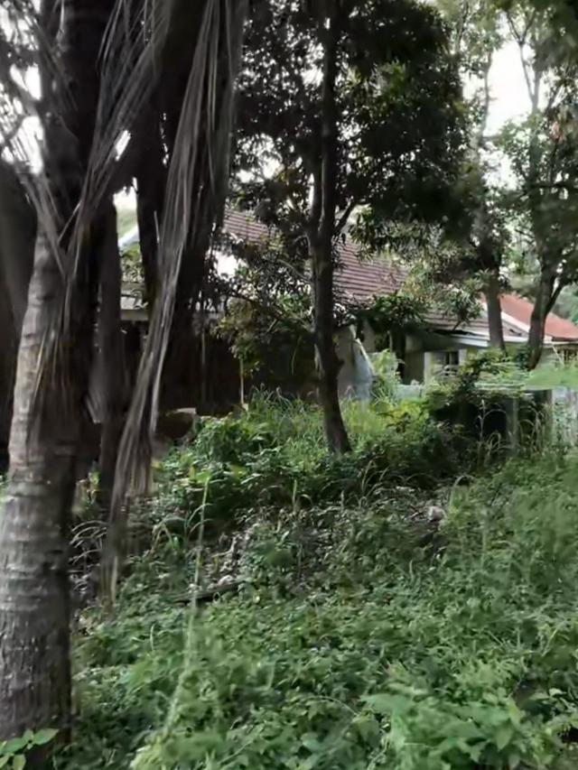 Perumahan Dinas Krakatau Steel Terbengkalai