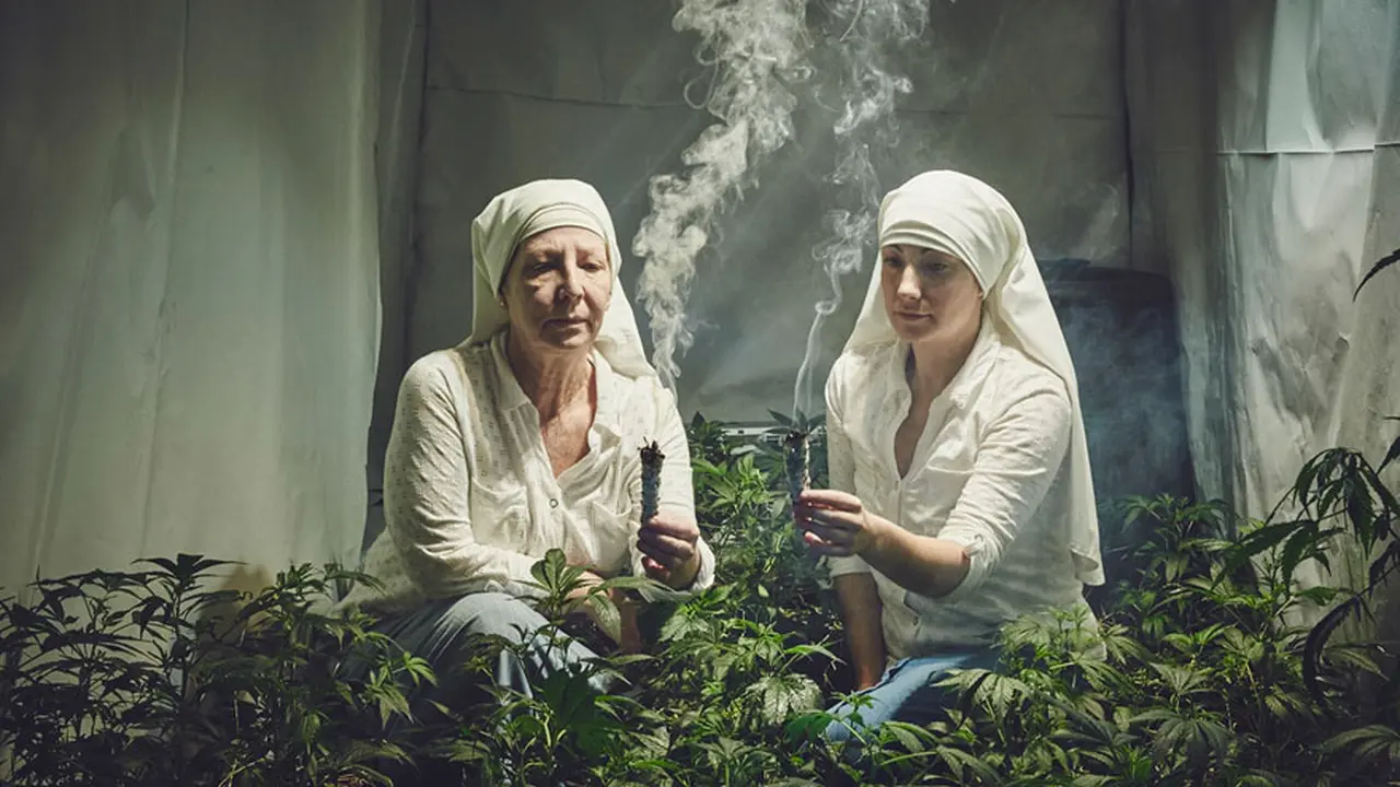 Sembuhkan Dunia, Biarawati di California Sengaja Budidaya Ganja