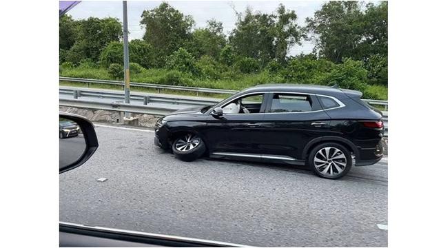 Viral di Medsos, Buaya Raksasa Mati Ditabrak Mobil saat Melintasi Jalan Tol