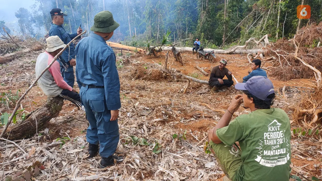 KLHK menangkap warga perambah hutan di Luwu Timur (Liputan6.com/Ahmad Yusran))
