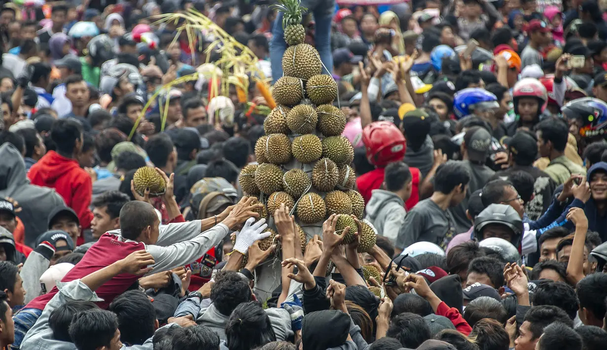 Ribuan pengunjung berebut gunungan durian saat festival Kenduren di Jombang, Jawa Timur, Minggu (3/3). Festival tersebut merupakan acara tahunan yang digelar setiap memasuki musim panen durian sebagai bentuk syukur petani kepada Tuhan (Juni Kriswanto/AFP)