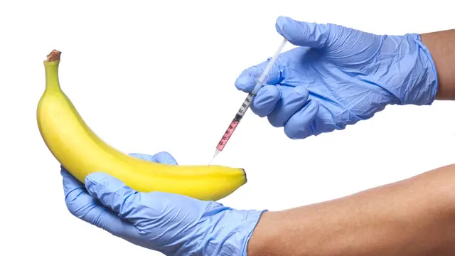 Suntik Hormon Bisa Menambah Besar Ukuran Penis? (Guzel Studio/Shutterstock)