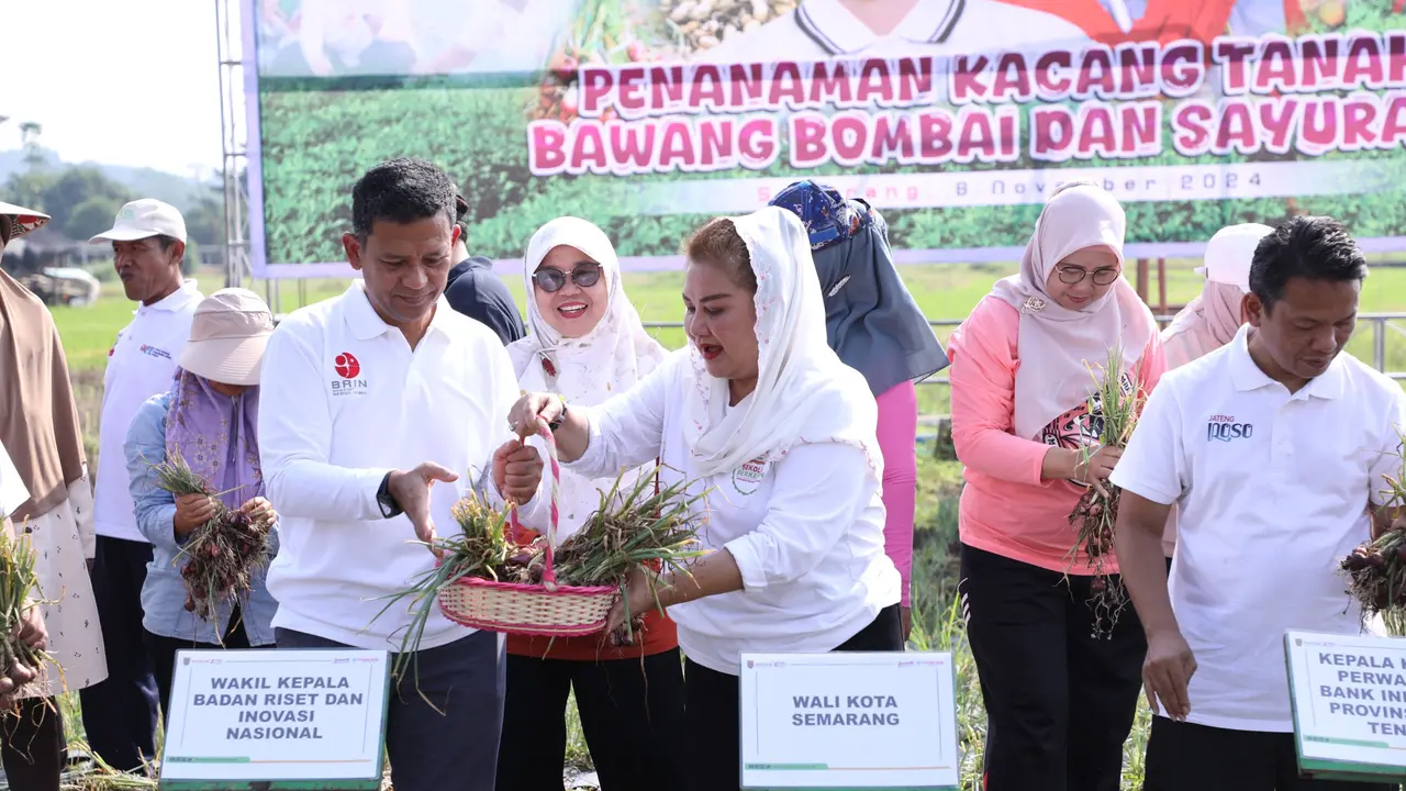 Pemkot Semarang Panen Dua Varietas Bawang Merah Hasil Kolaborasi Dengan BRIN