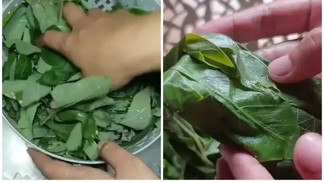 Merebus daun singkong