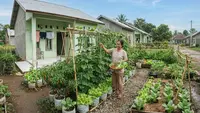 8 Ide Kebun Sayur untuk Rumah Subsidi Tanpa Menguras Anggaran, Bisa Petik Setiap Hari