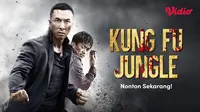 Film Kung Fu Jungle Dibintangi Donnie Yen (Dok. Vidio)