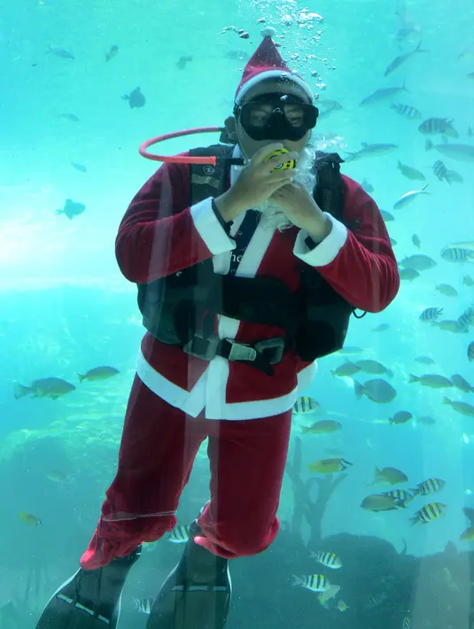 Penyelam mengenakan pakaian Sinterklas berenang dengan ikan dalam akuarium di Koral Restaurant, Sawangan, Nusa Dua, Bali, Kamis (23/12/2021). Koral Restaurant menyajikan hidangan internasional, Asia, dan fusion. (SONY TUMBELAKA/AFP)