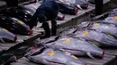 Pasar Toyosu mengambil alih peran legendaris Pasar Tsukiji sebagai lokasi lelang utama sejak ditutup pada tahun 2018. Tampak dalam foto, para pedagang grosir memeriksa ikan tuna sirip biru pada lelang tahunan “Tahun Baru” di pasar ikan Toyosu di Tokyo, Senin, 5 Januari 2026. (AP Photo/Louise Delmotte)