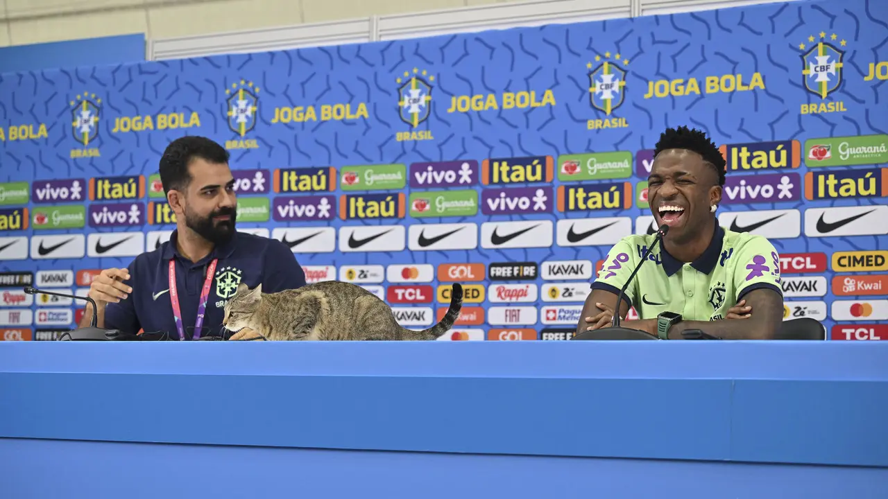 Foto: Momen Lucu, Seekor Kucing Susupi Konferensi Pers Timnas Brasil di Piala Dunia 2022