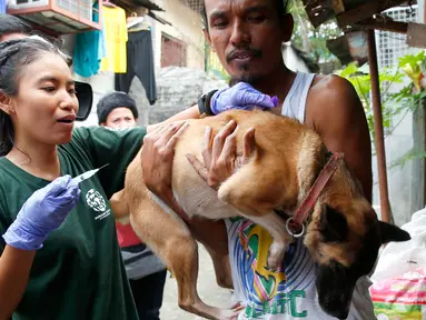 Dokter hewan dari Humane Society Internasional (HSI) menyuntikkan obat anti rabies pada anjing milik salah satu warga Payatas, Manila, Filipina, Selasa (26/9). Anggota HSI memberikan vaksin rabies gratis untuk hewan di Filipina. (AP Photo/Bullit Marquez)