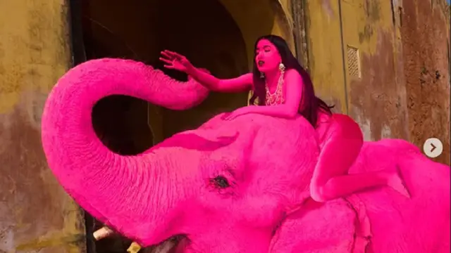 Kontroversi Kematian Gajah Pink di India yang Dihujat Aktivis, Fakta Sebenarnya Diungkap Dokter