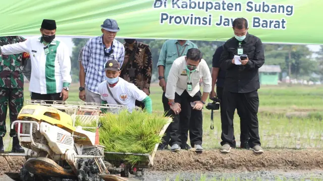 Indonesia dikenal sebagai negara agraris yang begitu subur yang hanya mengenal musim hujan dan kemarau sehingga sangat bagus bagi tanaman. (Dok Kementan)
